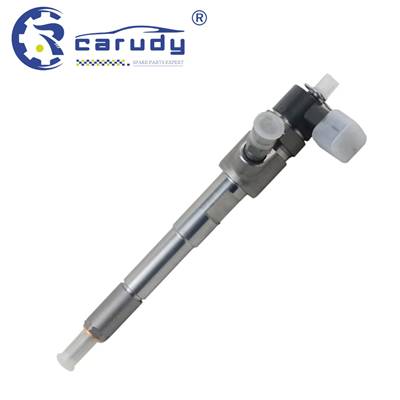 High-Quality Common Rail Injector 0445 110 351 for Ford/Fiat