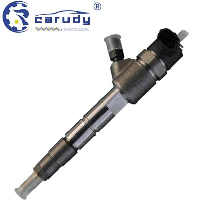 High-Quality Diesel Injector 0445 110 313 for Foton