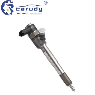 Carudy High-Quality Common Rail Injector 0445 110 660 for Yunnei Engine