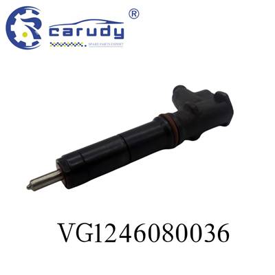 Wholesale Common Rail Injector VG1246080036 for SINOTRUK HOWO Engine